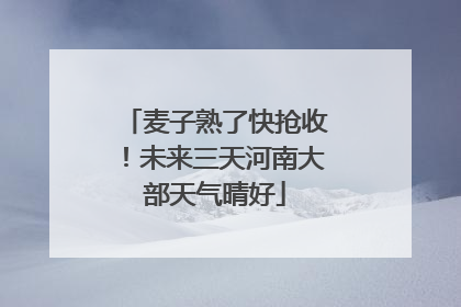 麦子熟了快抢收！未来三天河南大部天气晴好
