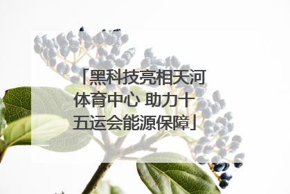 黑科技亮相天河体育中心 助力十五运会能源保障