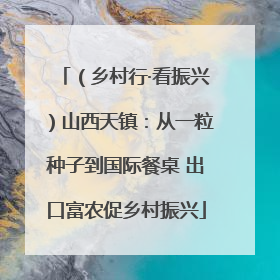 （乡村行·看振兴）山西天镇：从一粒种子到国际餐桌 出口富农促乡村振兴