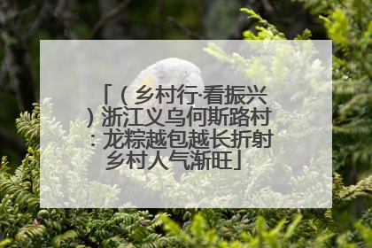 （乡村行·看振兴）浙江义乌何斯路村：龙粽越包越长折射乡村人气渐旺