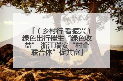 （乡村行·看振兴）绿色出行催生“绿色收益” 浙江瑞安“村企联合体”促共富