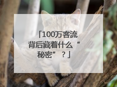 100万客流背后藏着什么“秘密”？