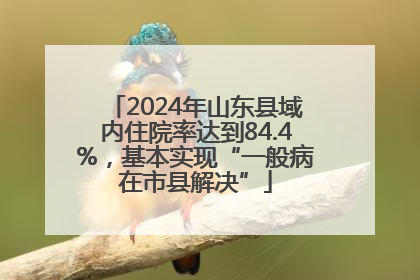 2024年山东县域内住院率达到84.4%，基本实现“一般病在市县解决”