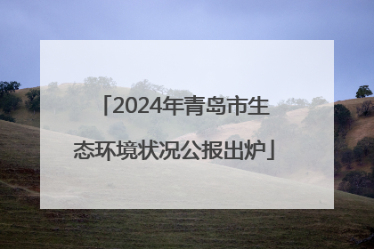 2024年青岛市生态环境状况公报出炉
