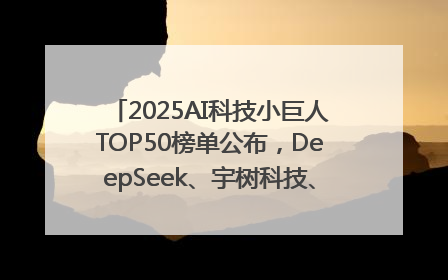 2025AI科技小巨人TOP50榜单公布，DeepSeek、宇树科技、蘑菇车联等企业荣誉上榜