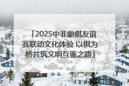 2025中非象棋友谊赛联动文化体验 以棋为桥共筑文明互鉴之路