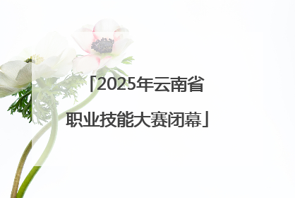 2025年云南省职业技能大赛闭幕