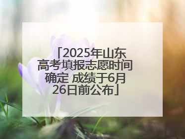 2025年山东高考填报志愿时间确定 成绩于6月26日前公布