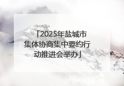2025年盐城市集体协商集中要约行动推进会举办