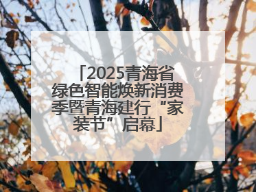 2025青海省绿色智能焕新消费季暨青海建行“家装节”启幕