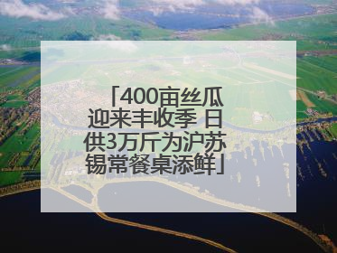 400亩丝瓜迎来丰收季 日供3万斤为沪苏锡常餐桌添鲜