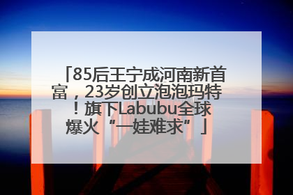 85后王宁成河南新首富，23岁创立泡泡玛特！旗下Labubu全球爆火“一娃难求”
